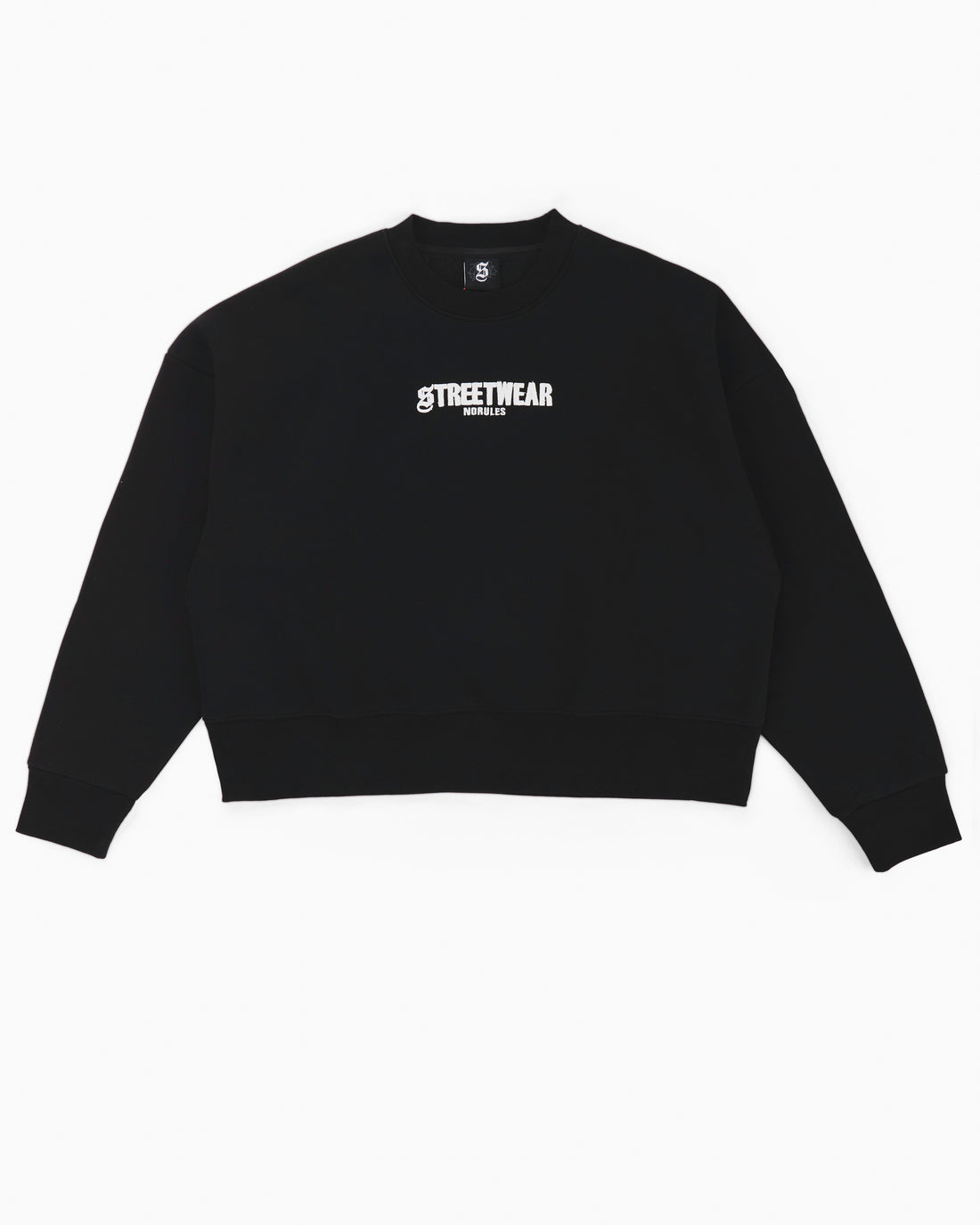 AlphaWear Premium Oversize Hoodie - Black back view